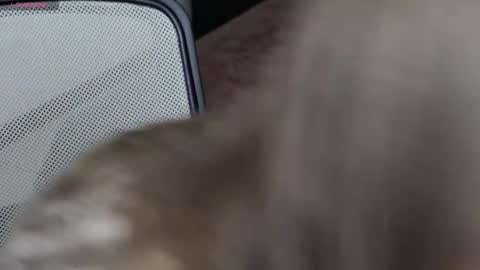 Brandy Gem online show from 10, 2, 2026