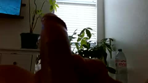 Alexander Wolf online show from 1, 6, 2026