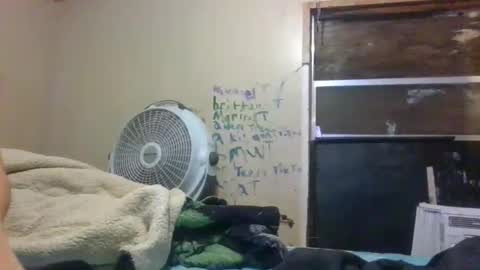 Bay online show from 30, 11, 2025