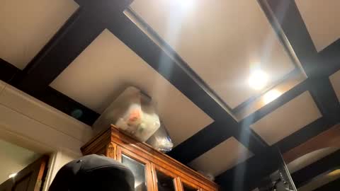 bravo323 online show from 2, 10, 2025