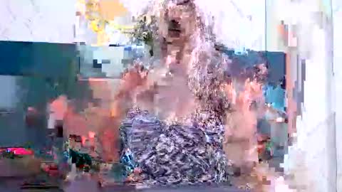 BRENDA VELASQUEZ online show from 11, 3, 2026