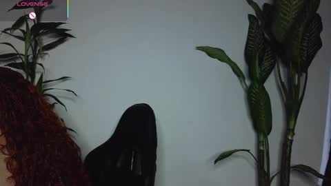 Bri  online show from 29, 3, 2026