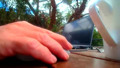 Snapshot of bridie3079 chatting on 19, 2, 2026 Fun Monster online show from 19, 2, 2026