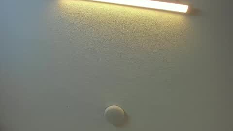 Brittany  online show from 8, 2, 2026