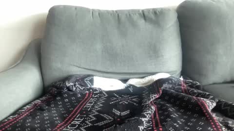 Snapshot of brownbbc420 chatting on 10, 12, 2024 BrownBBC420 online show from 10, 12, 2024