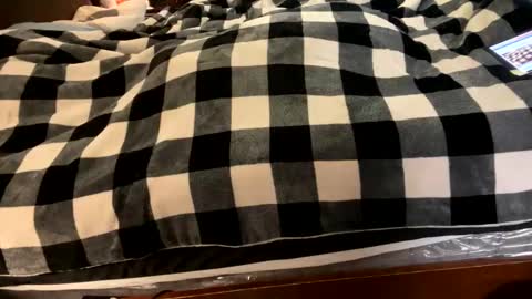 Snapshot of brownbootie1 chatting on 7, 1, 2025 brownbootie1 online show from 7, 1, 2025