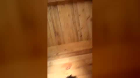 bbc online show from 16, 1, 2026