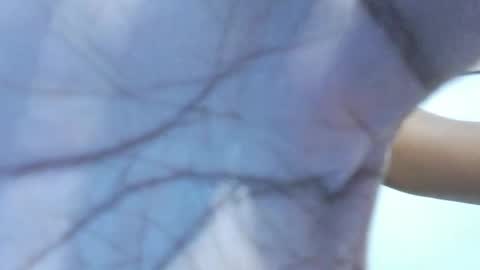 Snapshot of brownguy2505 chatting on 19, 1, 2026 brownguy2505 online show from 19, 1, 2026