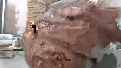 brownskinbull1 online show from 29, 6, 2026
