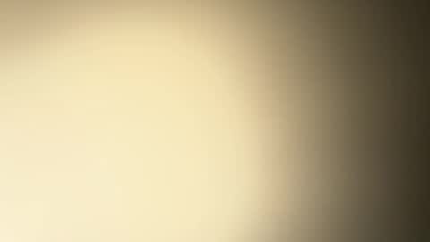 BRUCE online show from 26, 12, 2024