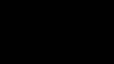 Snapshot of brynoncam chatting on 8, 12, 2024 BryN online show from 8, 12, 2024