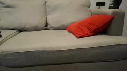 Buck online show from 23, 9, 2025