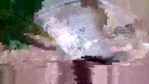 Snapshot of buffsurgeon1 chatting on 8, 9, 2025 buffsurgeon1 online show from 8, 9, 2025