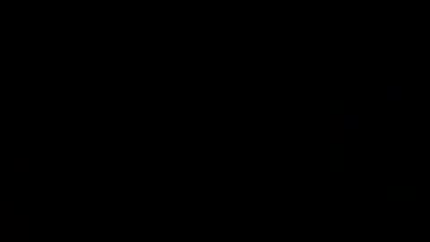 Bobby online show from 3, 10, 2025