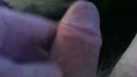 bullemoe online show from 31, 10, 2025