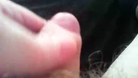 bullemoe online show from 4, 11, 2025