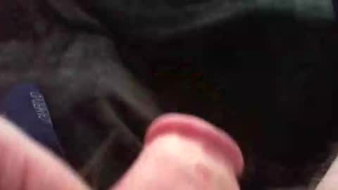 bullemoe online show from 9, 11, 2025