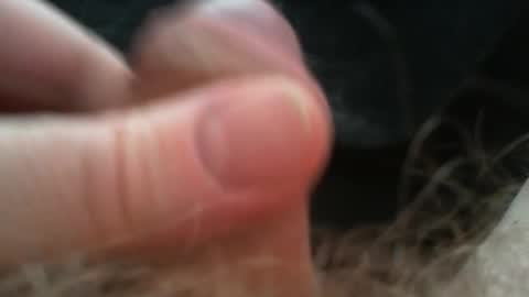 bullemoe online show from 2, 2, 2026