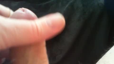 bullemoe online show from 24, 3, 2026