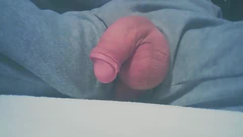 Dutch cock online show from 11, 1, 2025