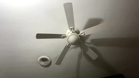 bunnibaby333 online show from 28, 9, 2025