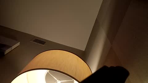 Snapshot of bushdoctor1 chatting on 2, 12, 2024 bushdoctor1 online show from 2, 12, 2024