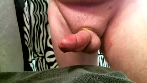 Snapshot of bustinfree chatting on 12, 2, 2025 bustinfree online show from 12, 2, 2025