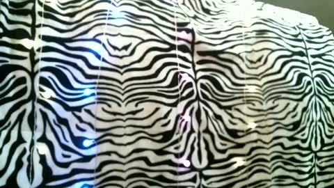 Snapshot of bustinfree chatting on 24, 2, 2025 bustinfree online show from 24, 2, 2025