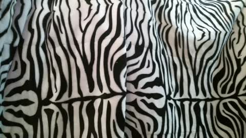 Snapshot of bustinfree chatting on 28, 2, 2025 bustinfree online show from 28, 2, 2025