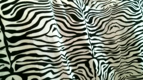 Snapshot of bustinfree chatting on 9, 9, 2025 bustinfree online show from 9, 9, 2025