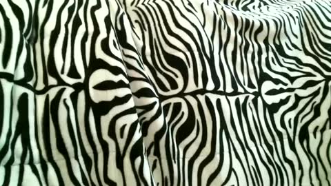 Snapshot of bustinfree chatting on 15, 9, 2025 bustinfree online show from 15, 9, 2025