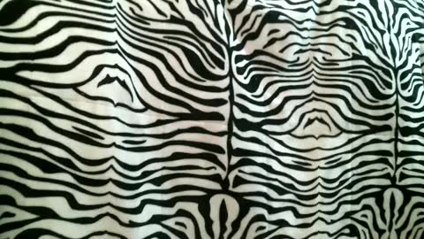 Snapshot of bustinfree chatting on 16, 9, 2025 bustinfree online show from 16, 9, 2025