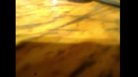 Snapshot of bzxxbzh chatting on 15, 2, 2026 bzxxbzh online show from 15, 2, 2026