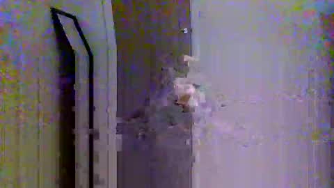 c95uk online show from 12, 10, 2025