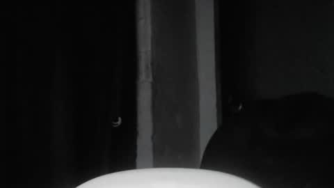 Snapshot of cafinfi1 chatting on 18, 2, 2026 cafinfi1 online show from 18, 2, 2026