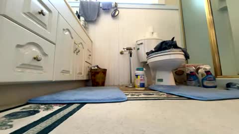 Cal online show from 6, 10, 2025