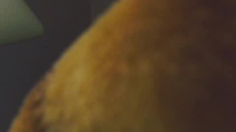 Snapshot of camaleon692021 chatting on 7, 12, 2024 Charly online show from 7, 12, 2024