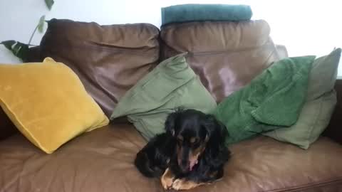 CamDoAttitude online show from 18, 4, 2026