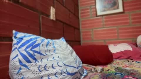 camii19y online show from 2, 12, 2025