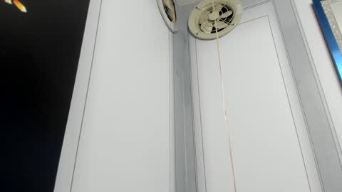 Camila  online show from 24, 12, 2024