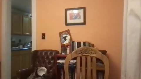 camunity online show from 29, 3, 2026