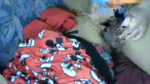 7777 online show from 4, 3, 2025