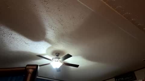 candicewlahna online show from 12, 9, 2025