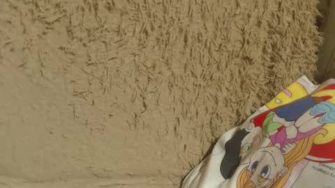 say meow and send tip  online show from 13, 2, 2025