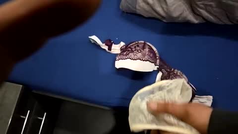 capoo24 online show from 28, 10, 2025