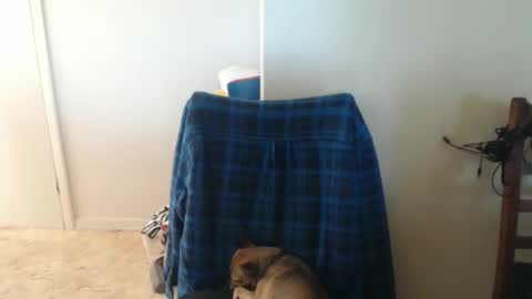 capt5105 online show from 5, 3, 2026