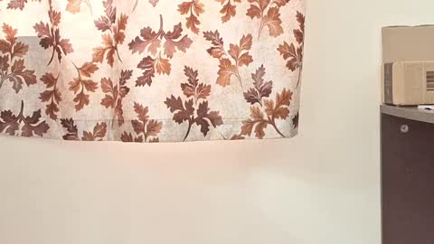 captian juicyprecum online show from 2, 3, 2025