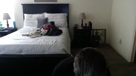 Snapshot of captmorgan30263 chatting on 26, 2, 2025 captmorgan30263 online show from 26, 2, 2025