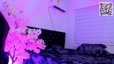 Caramel online show from 13, 12, 2024