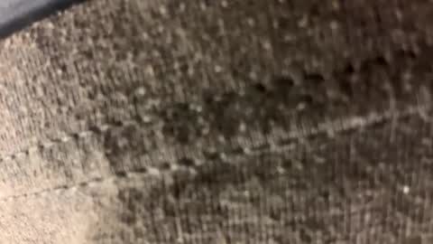 Carl1616 online show from 21, 4, 2026